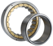 Single Row Cylindrical Roller Bearings - Electric Motor Bearings